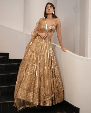 Antique Gold Embellished Lehenga Set