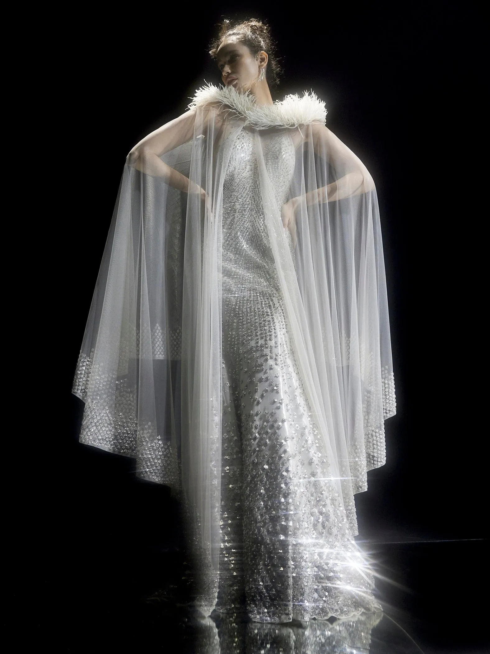 Heavily Embellished Fish Cut Gown With Cape