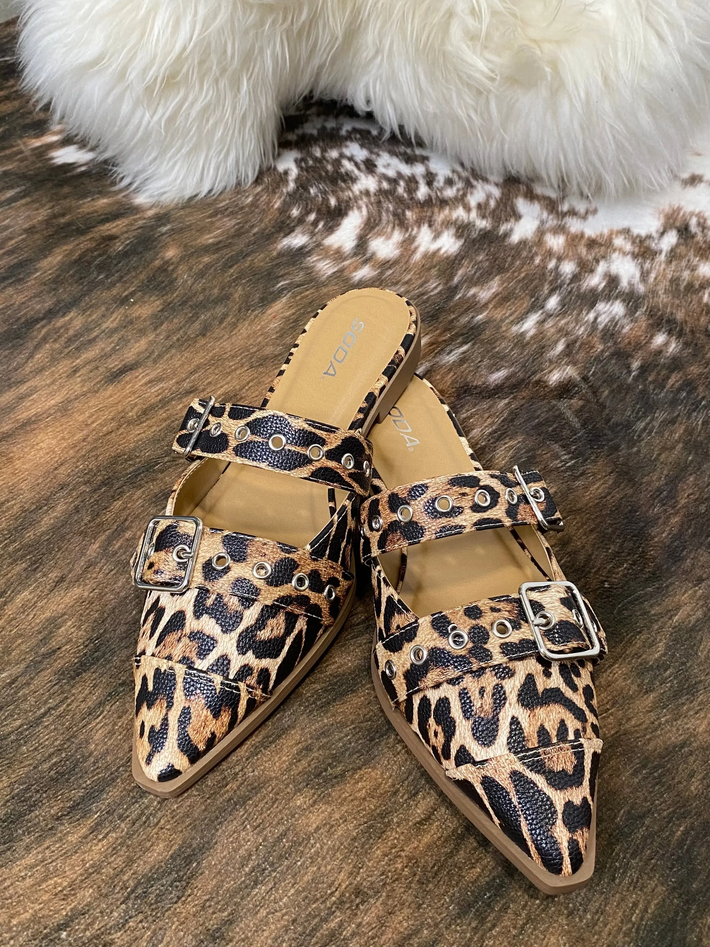 Pointed Closed Toe Flats