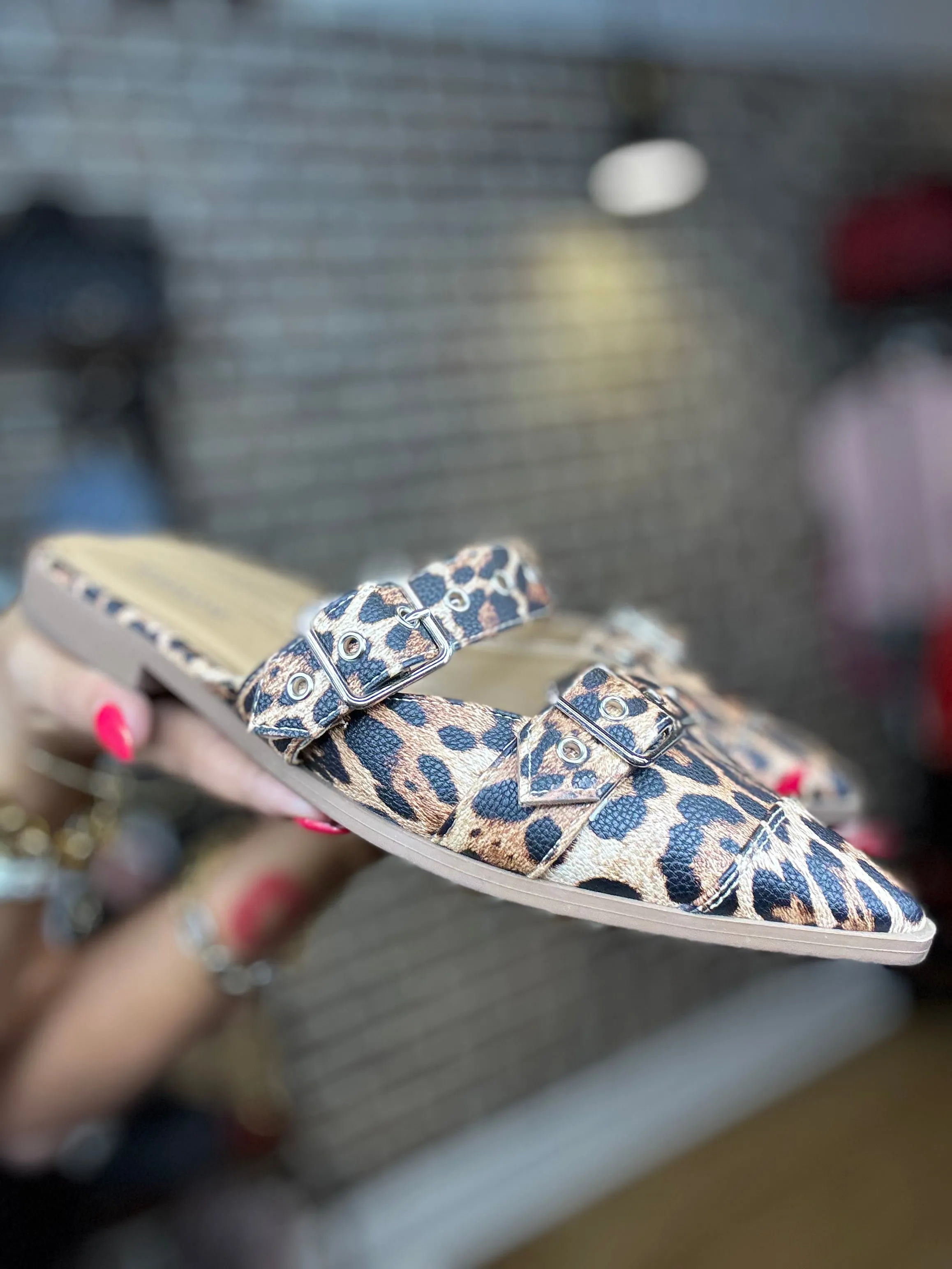 Pointed Closed Toe Flats