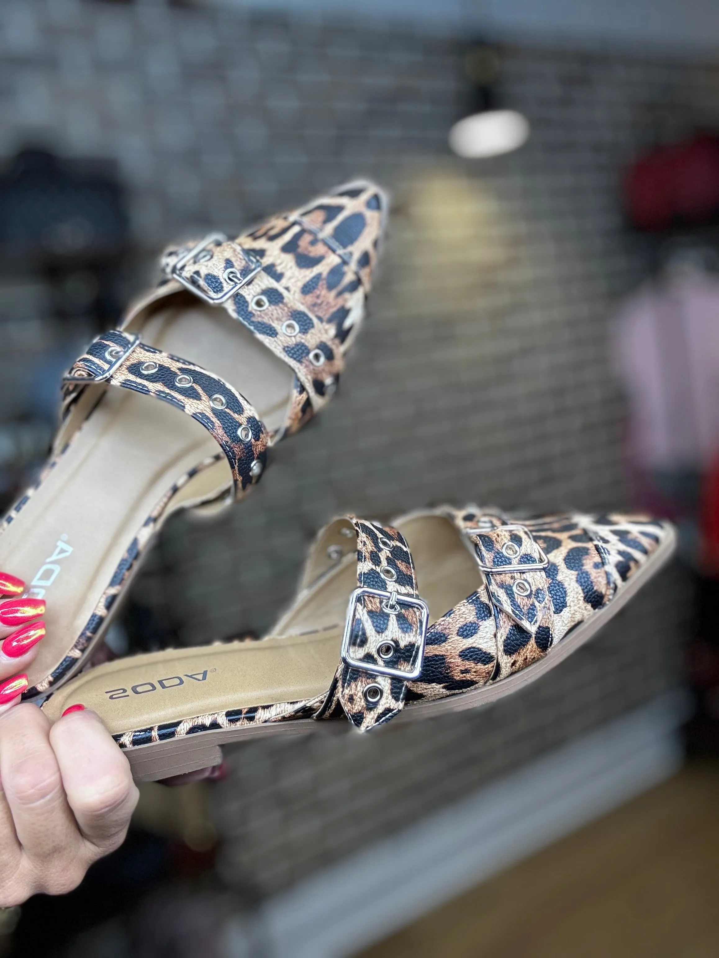 Pointed Closed Toe Flats
