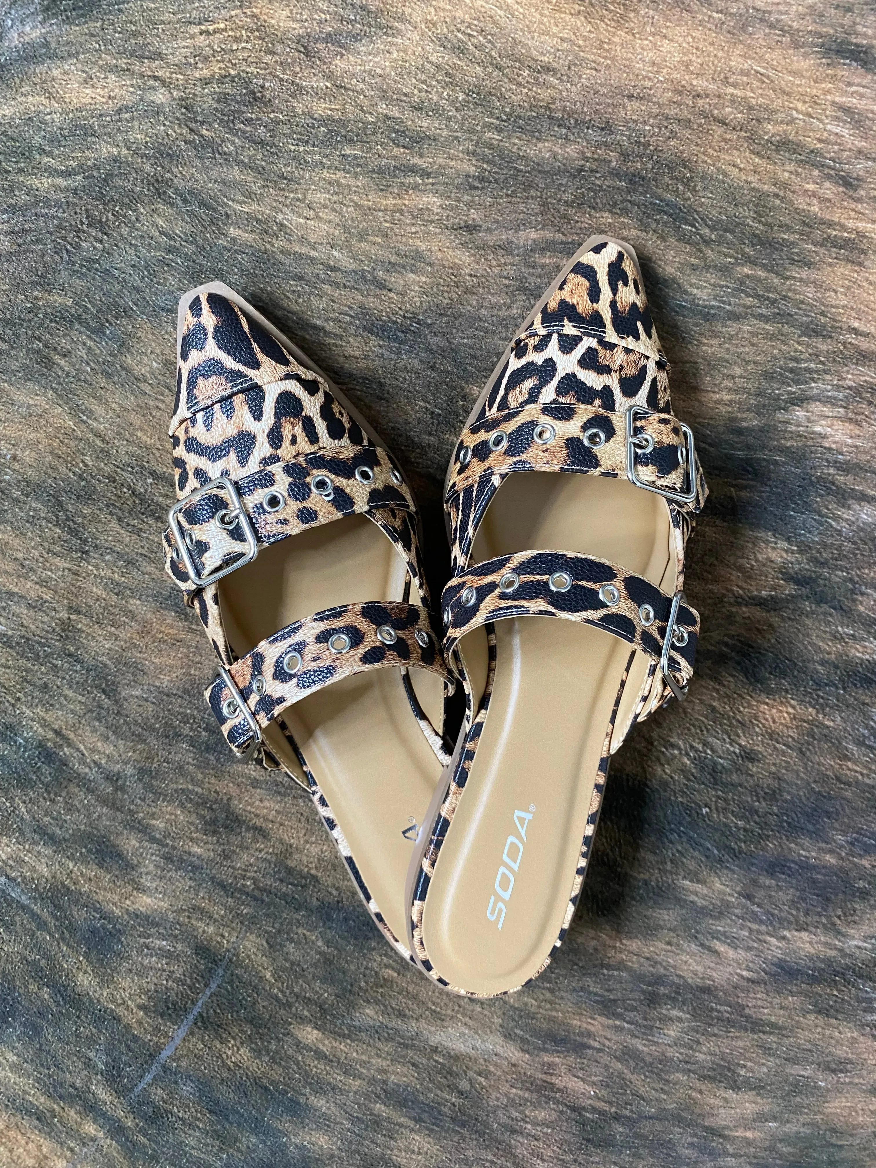 Pointed Closed Toe Flats