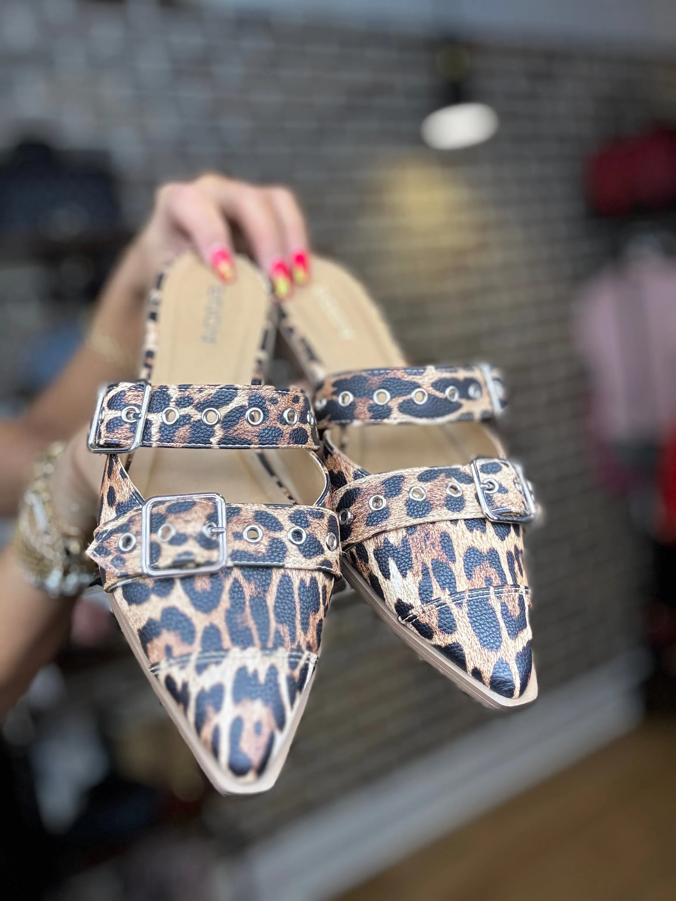 Pointed Closed Toe Flats