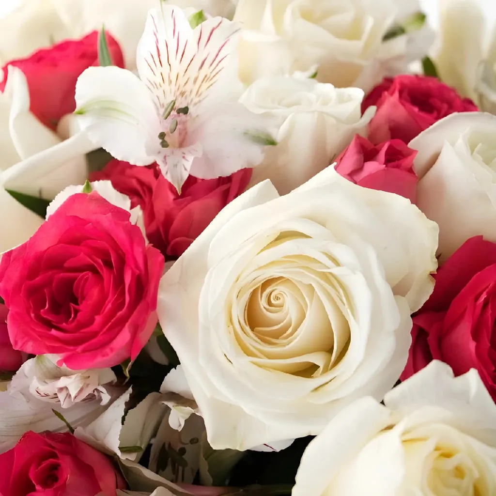 Romantic Hot Pink and White Rose Bouquet