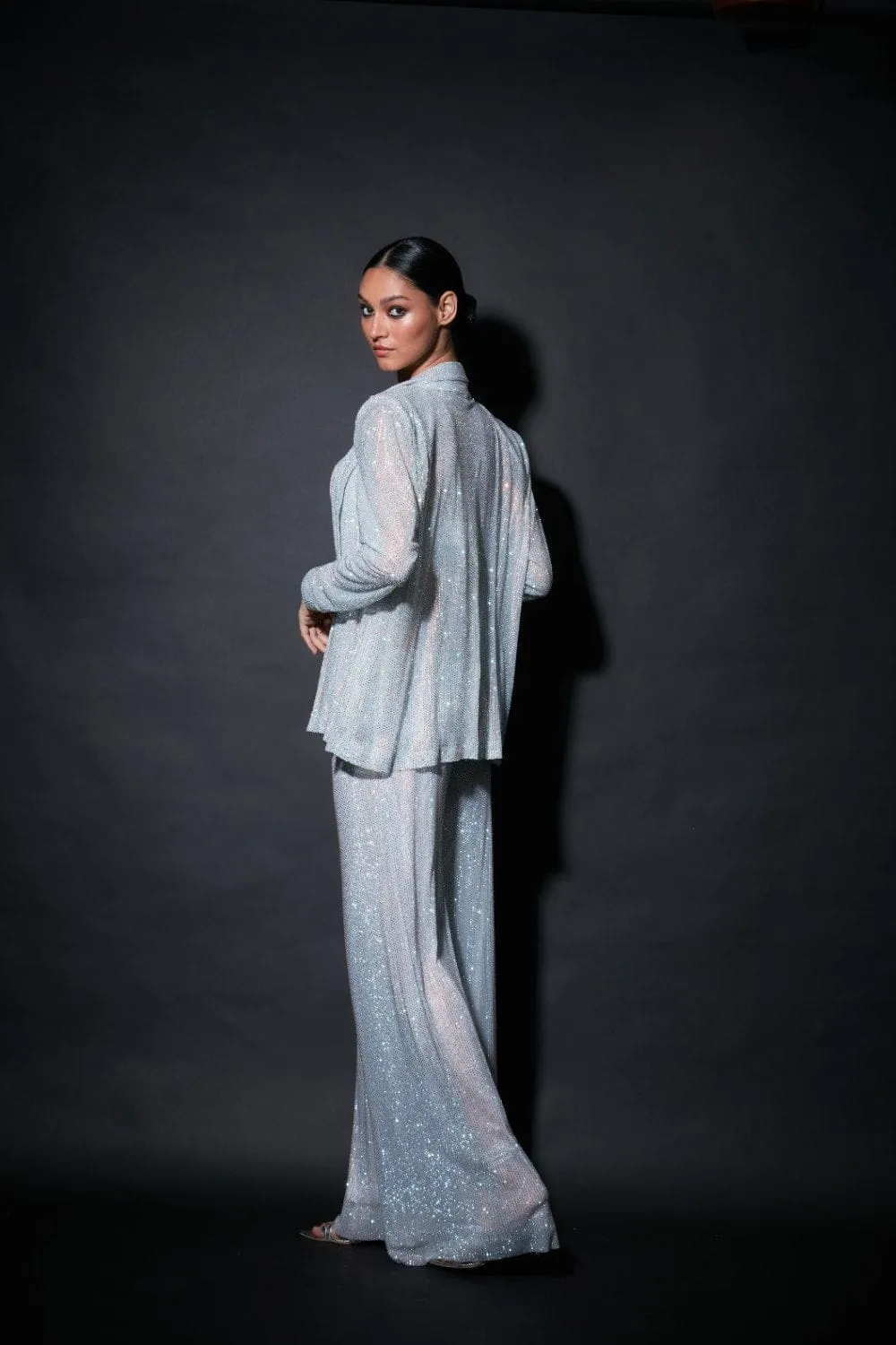Silver Net Embellished Jacket Set