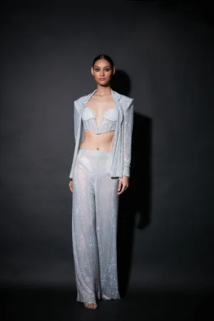 Silver Net Embellished Jacket Set