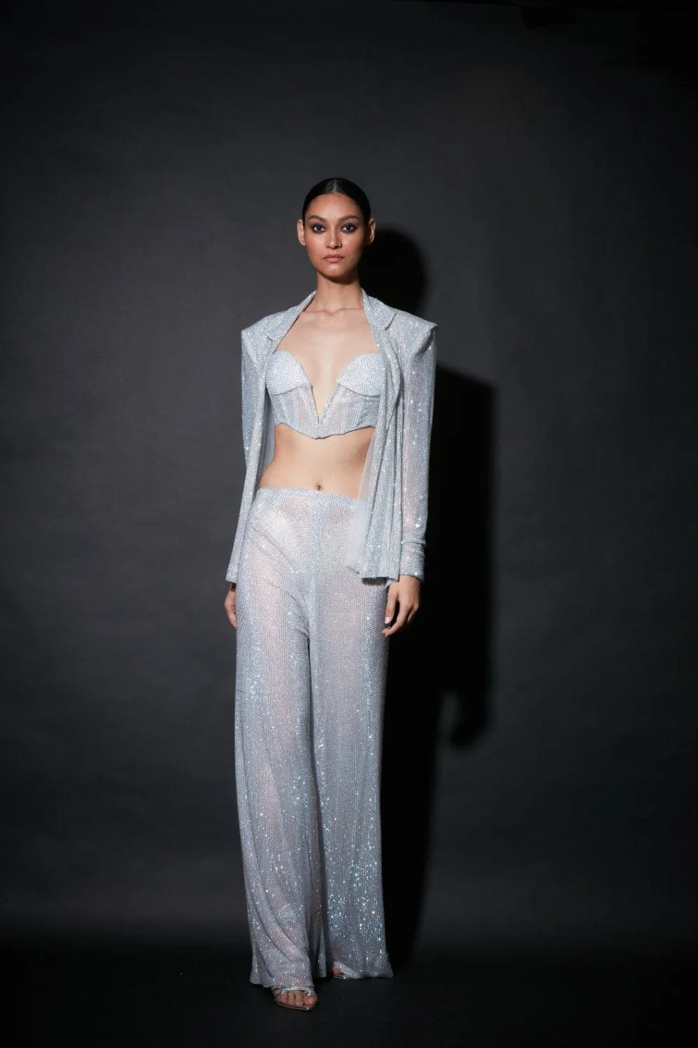 Silver Net Embellished Jacket Set
